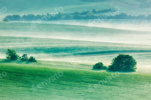 Preview: Moravian rolling fields in morning mist