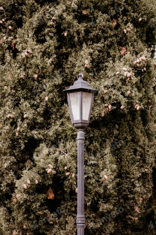 Preview: Old lamppost in the street of a town.