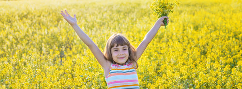 Preview: A child in a yellow field, mustard blooms. Selective focus.