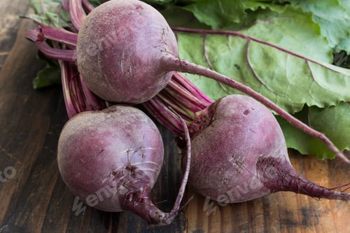 Preview: Fresh Young Beetroot