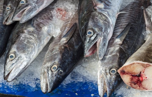 Preview: Fresh fish on ice