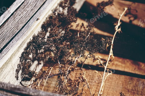 Preview: Autumn organic and abstract s