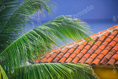 Preview: Tropical