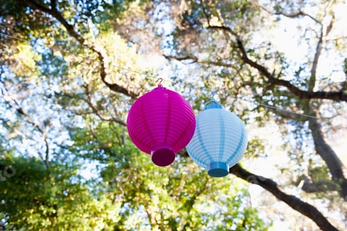 Preview: Lanterns Hanging from a Tree.