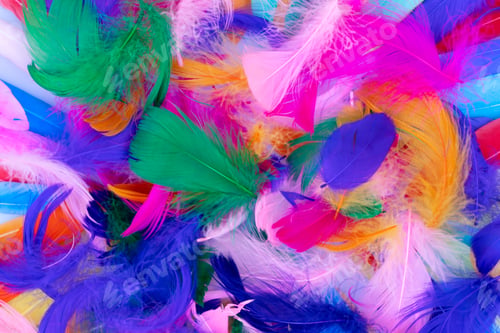 Preview: Colorful pattern made of feathers.