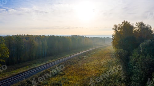 Preview: aerial view of railroad in forest at foggy autumn morning, top view of rural railroad in fall
