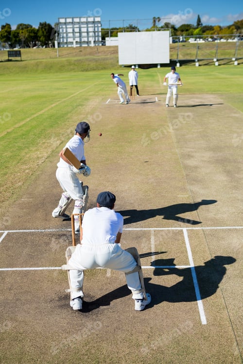 Preview: High angle view of players at cricket match