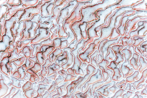 Preview: Close up abstract macro texture of travertine in Pamukkale