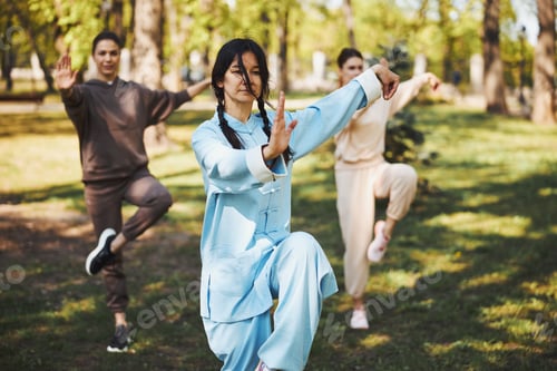 Preview: Women Practicing Tai Chi in a Sunny Park