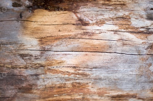 Preview: Old wood backdrop