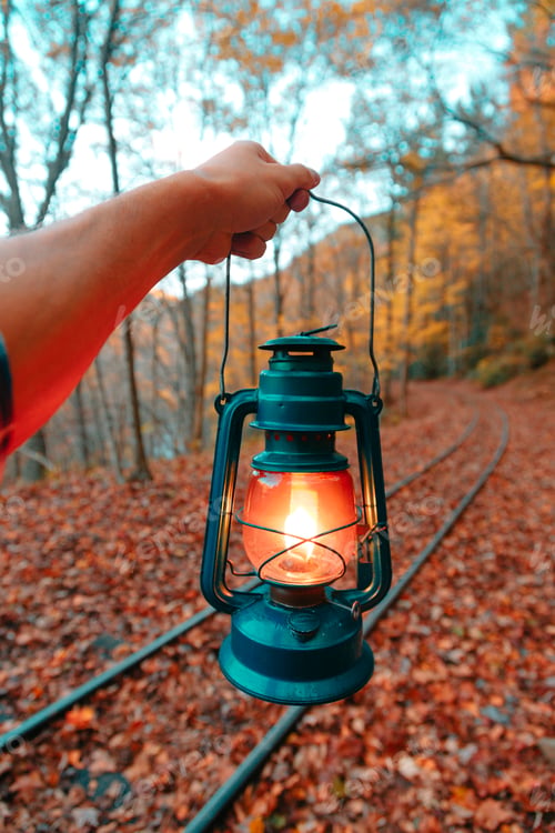 Preview: Blue lamp in foliage