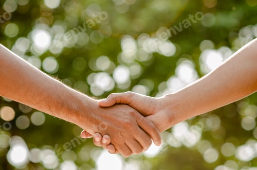 Preview: Shake hands in park.finishing up a meeting.Men shaking hands.