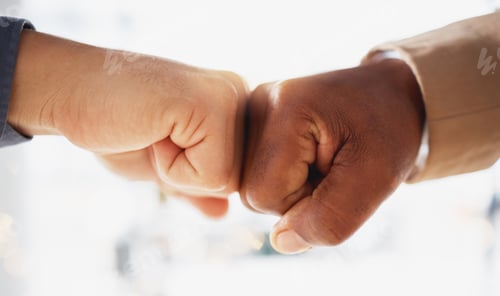 Preview: Business people, hands and fist bump in partnership, unity or trust for deal or agreement against b
