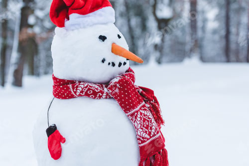 Preview: close up view of snowman in santa hat, scarf and mittens i winter park