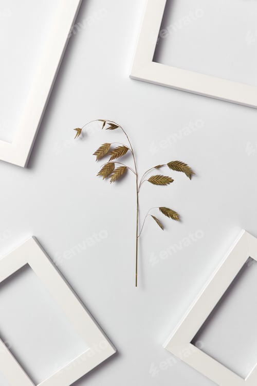 Preview: Decorative composition with natural plant and empty frames on a light background