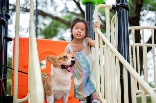 Preview: Asian girl with puppy standing holding railing of colorful climbing slide in the park's playground.
