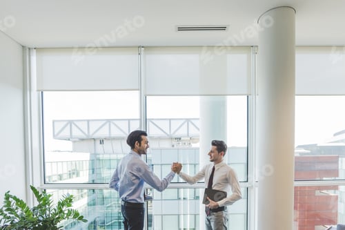 Preview: Multiethnic businessmen hand shaking dealing agreement