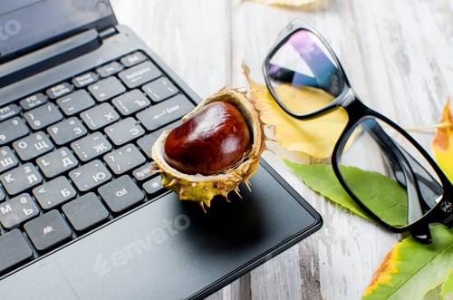 Preview: Chestnut on a laptop and autumnal leaves on the wooden background
