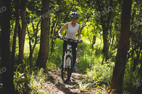Preview: Mountain biking in summer forest