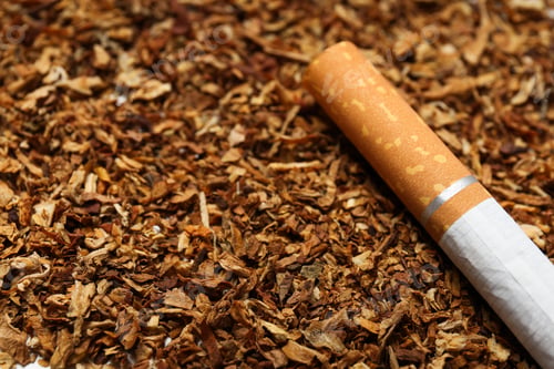 Preview: Concept of addiction to smoking, tobacco and cigarette.