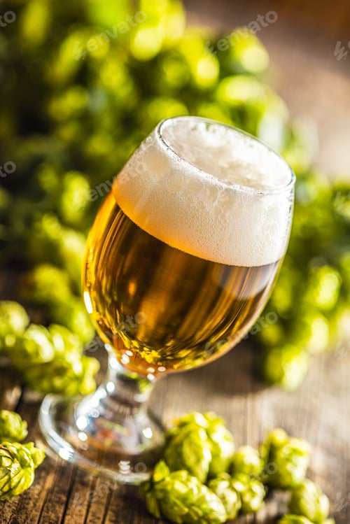 Preview: Glass of beer and hops crop on wooden table.