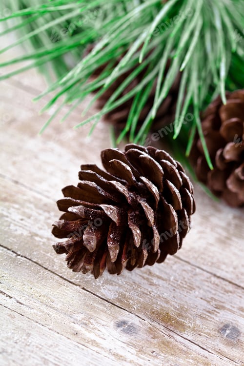 Preview: christmas fir tree with pinecones