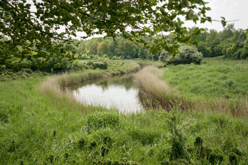 Preview: small water in nature in Holland