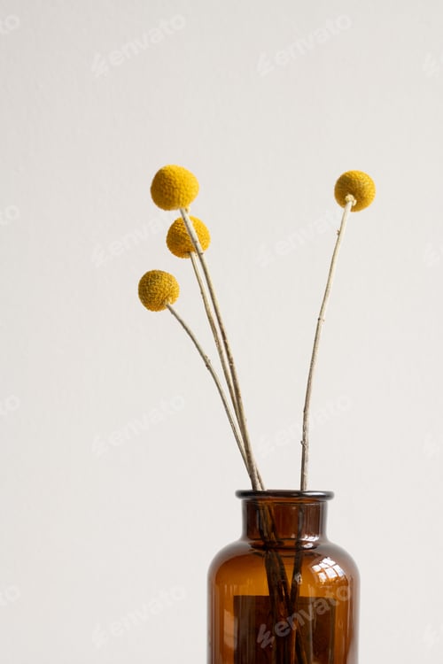 Preview: Bunch of yellow dried wildflowers on long stems standing in dark bottle or vase