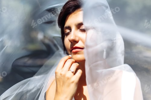 Preview: A beautiful portrait of bride under a veil. Elegant woman with professional make up and hair style.