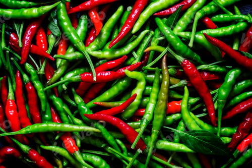 Preview: Red and green small hot peppers