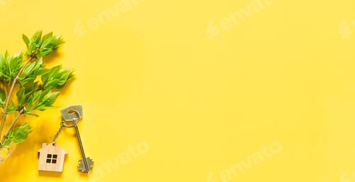 Preview: ouse key with keychain on yellow background and spring bouquet of branches