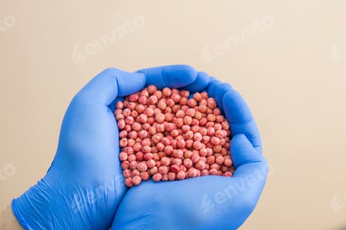 Preview: Close-up of a handful in the hands in the form of a heart etched soybean seeds