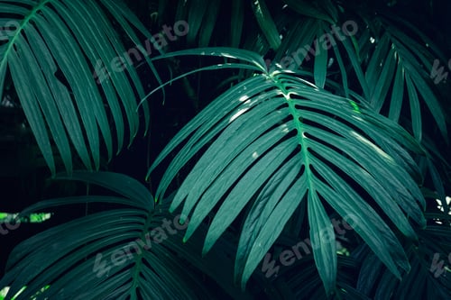 Preview: A background with an abstract design and a close-up texture of green leaves.