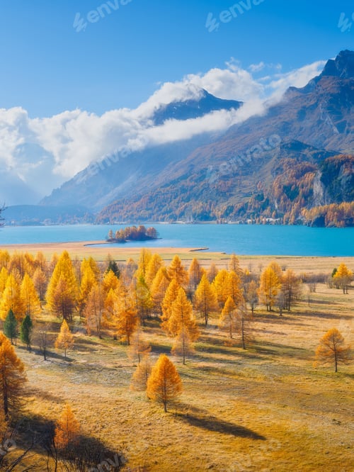 Preview: Autumn landscape. Day time in the mountains. Yellow larch trees.
