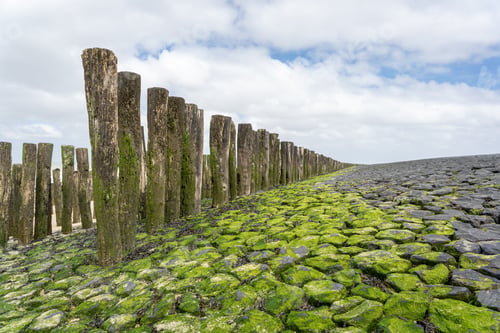 Preview: Landscape with traditional wooden pillars at the Dutch coast, province of Zeeland, no people