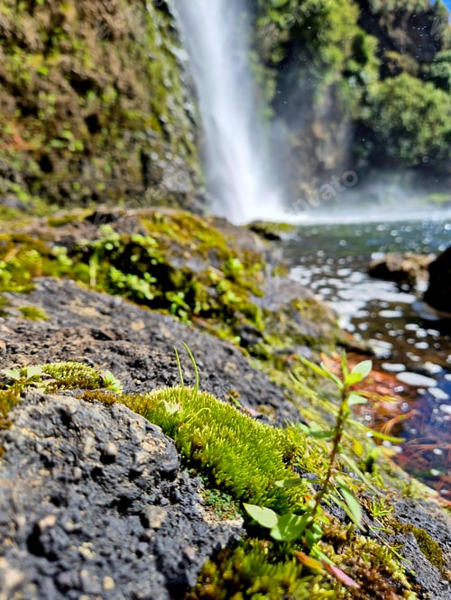 Preview: Hunua Falls in Auckland, New Zealand