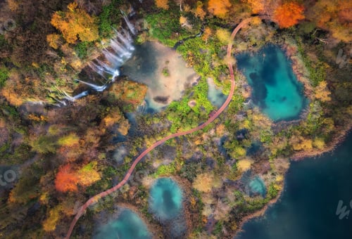 Preview: Aerial view of waterfall in red autumn forest at sunrise