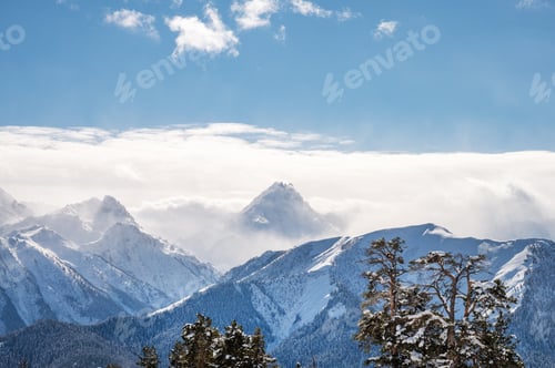 Vorschau: Wunderschöne Landschaft des Skigebiets Arkhyz mit Bergen, Schnee und Wald an einem sonnigen Wintertag