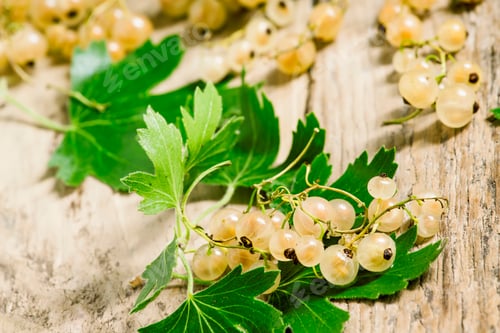 Preview: White currants with leaves on old wooden background, selective focus