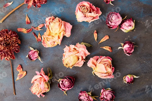 Preview: Dry roses flowers on rustic background. Zero waste, organic decorations top view