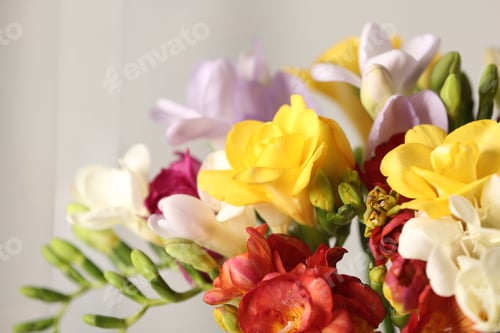 Preview: Beautiful bouquet of spring freesia flowers on blurred background, closeup