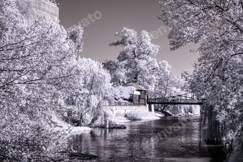 Preview: Scenic winter landscape featuring a bridge crossing a tranquil river in Opole, Poland