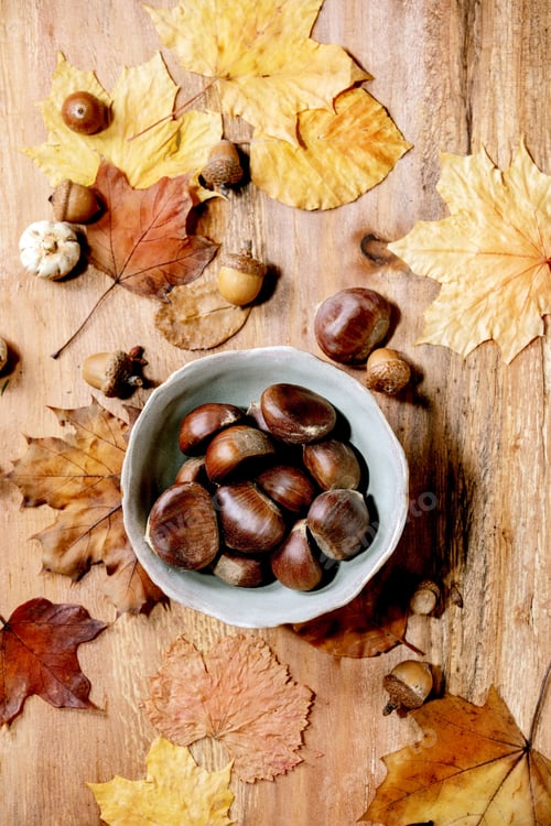 Preview: Edible chestnuts and autumn leaves