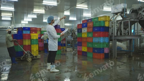 Preview: Production control supervisor inspects and controls the operation of each step
