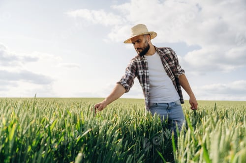 Preview: Rural non-urban scene, country business. Man farmer is on the agricultural field