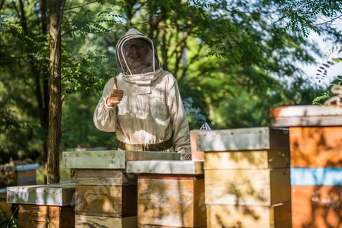 Preview: Beehives and beekeeper