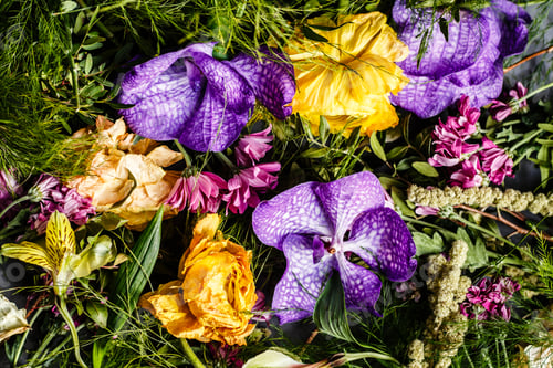 Preview: purple