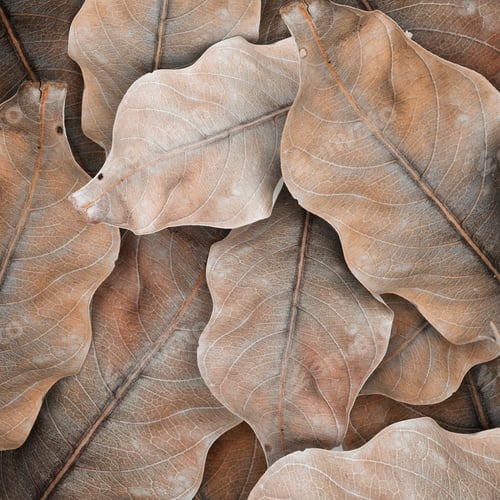 Preview: Beige leaf patterned background design space