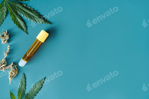 Preview: Hemp leaves and hemp oil on green background