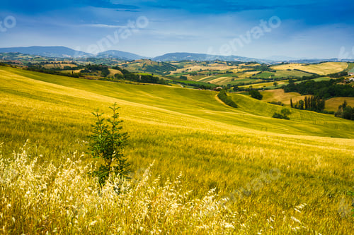 Preview: Rural landscape along the road from Fano to Mondavio, Marche